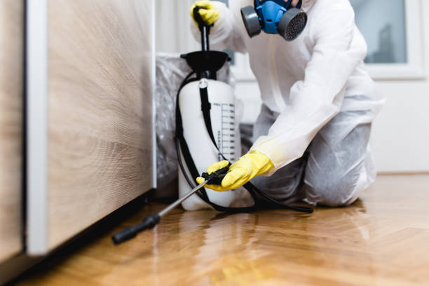 Best Pest Prevention Services  in Auburn Hills, MI