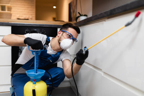 Best Affordable Pest Control Services  in Auburn Hills, MI