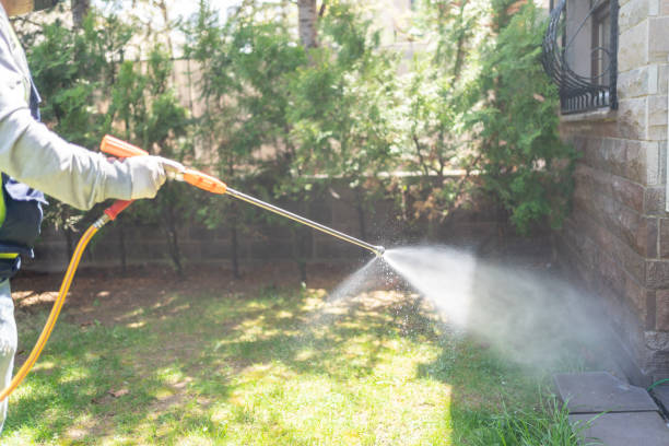 Best Local Pest Control Services  in Auburn Hills, MI