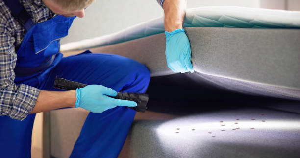 Best Mosquito Control Services  in Auburn Hills, MI