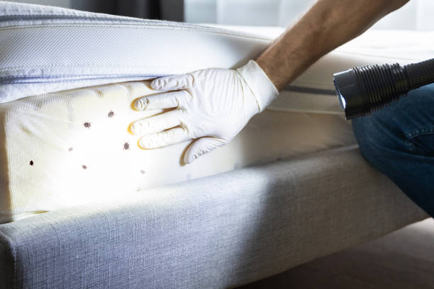 Best Cockroach Control Services  in Auburn Hills, MI
